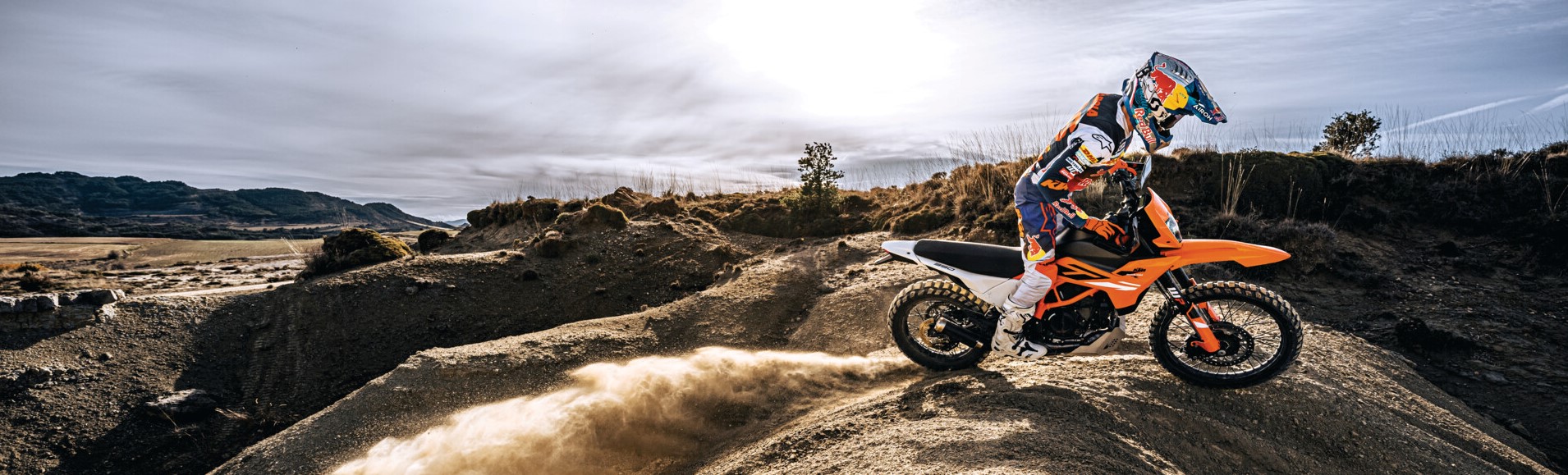 390 enduro r